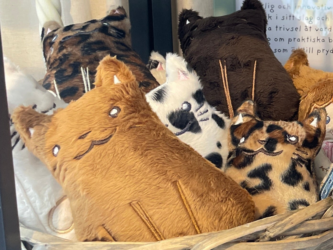 Vide- gosekatt